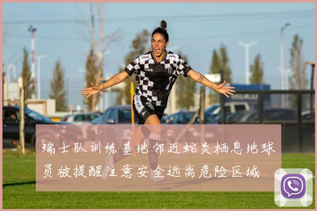 瑞士队训练基地邻近蛇类栖息地球员被提醒注意安全远离危险区域